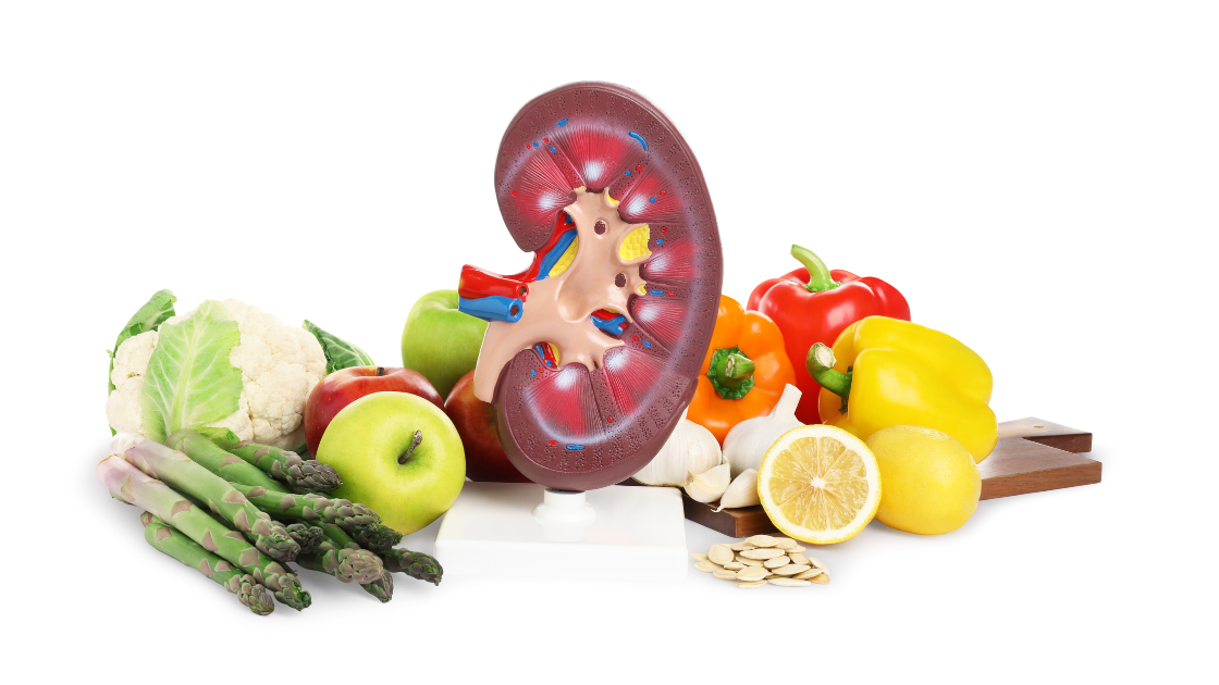 Image of a healthy kidney surrounded by superfoods like blueberries, kale, and garlic, promoting kidney health.