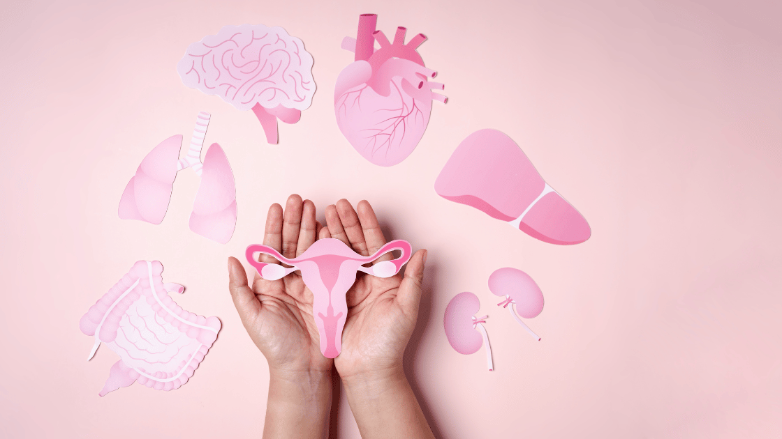 Medical illustration showing hand protecting female reproductive system surrounded by women's vital organs representing comprehensive health screening beyond gynecological care
