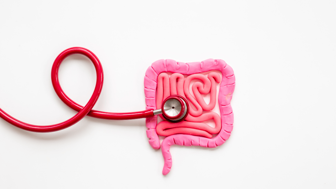 Medical stethoscope on illustrated digestive system colon showing health screening Singapore examination for gut problems