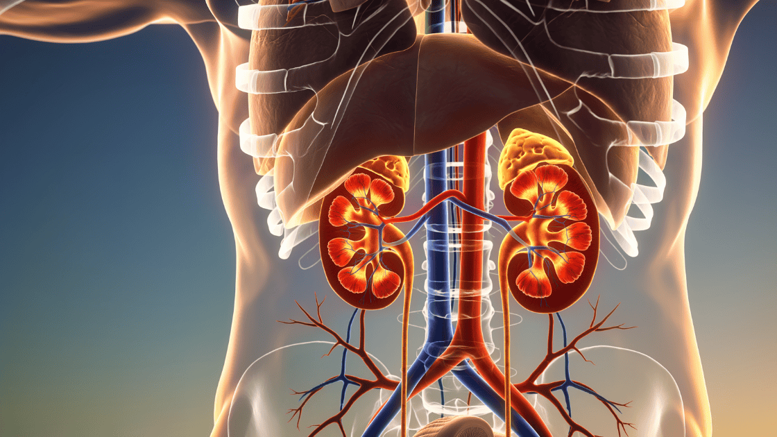 Doctor reviewing kidney function test results with patient during consultation Singapore