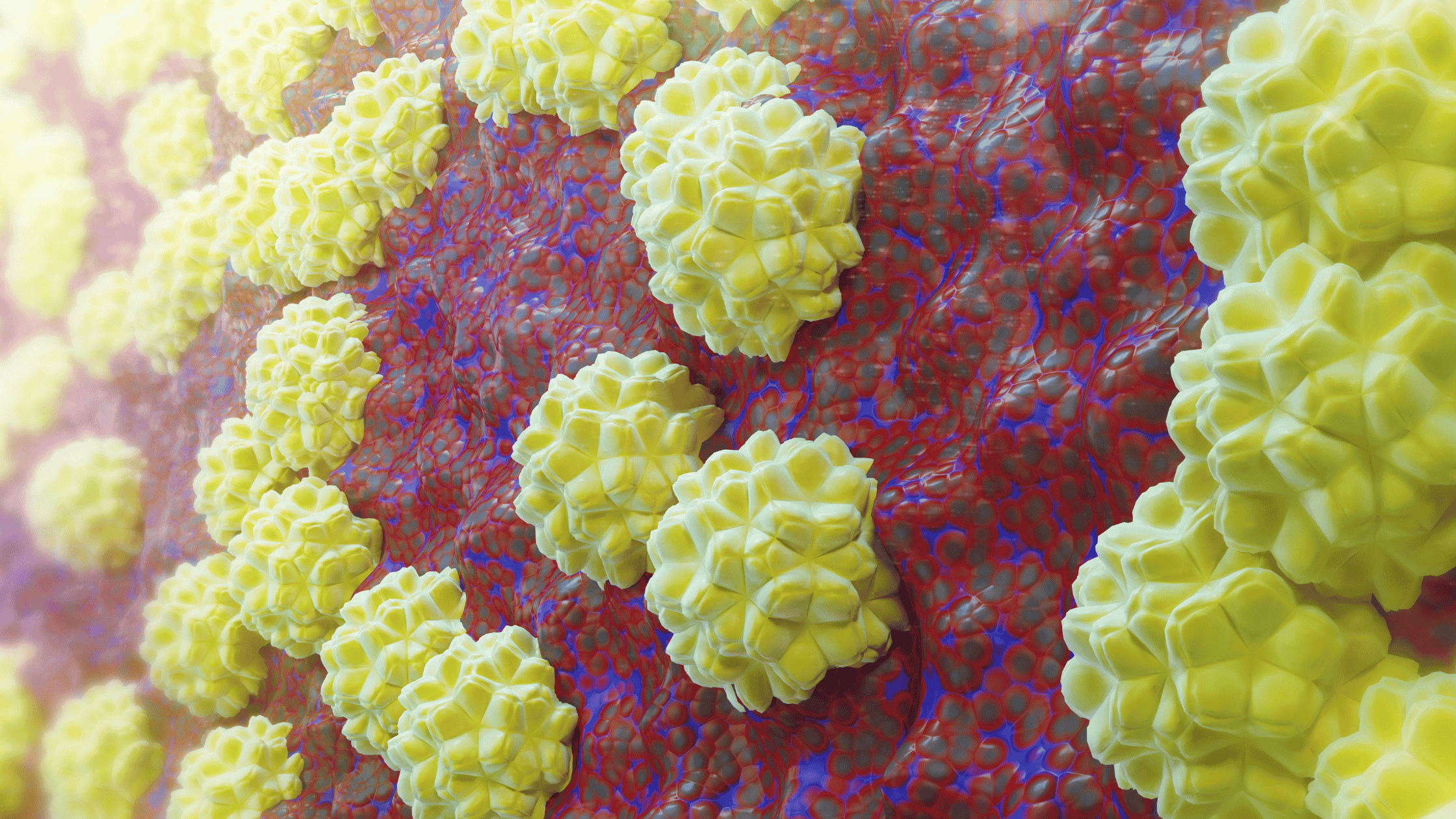 Microscopic illustration of Chlamydia bacteria cells, representing STI awareness at HOP Medical Centre Singapore